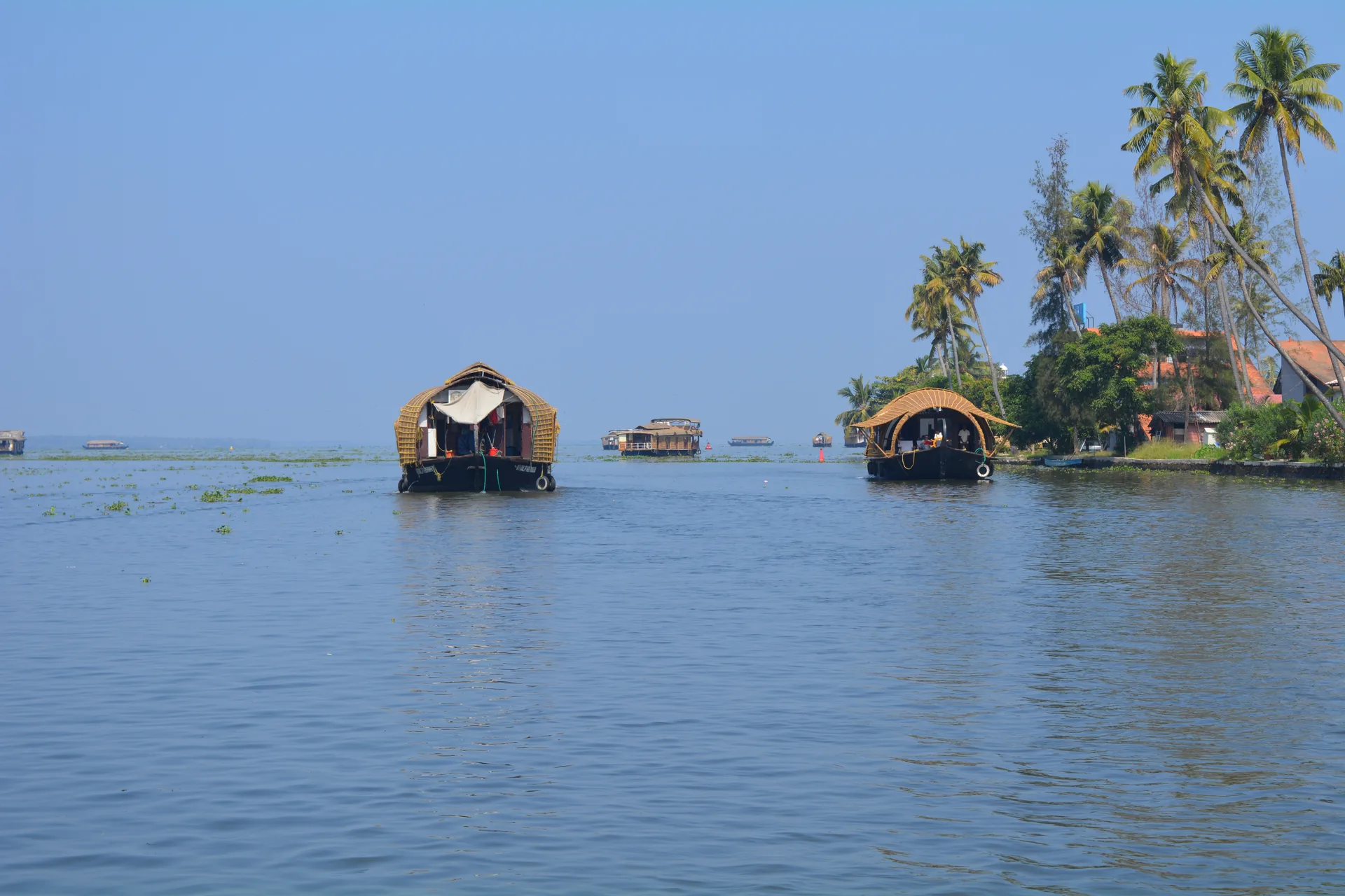 Canal and backwater landscape near Alleppey, Kerala