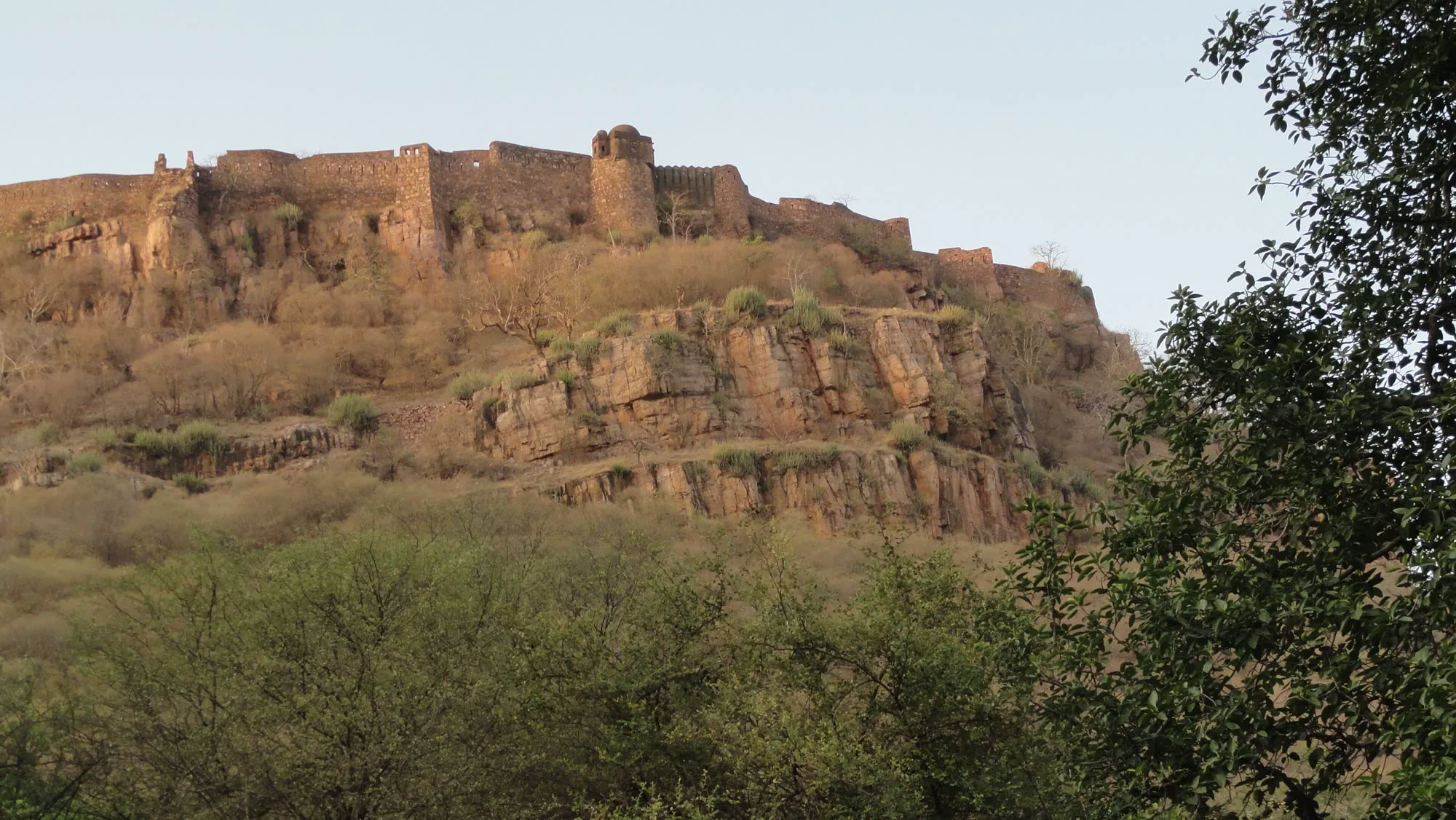 Walls of Ranthambore Fort on a cliff above the forest of Ranthambore National Park