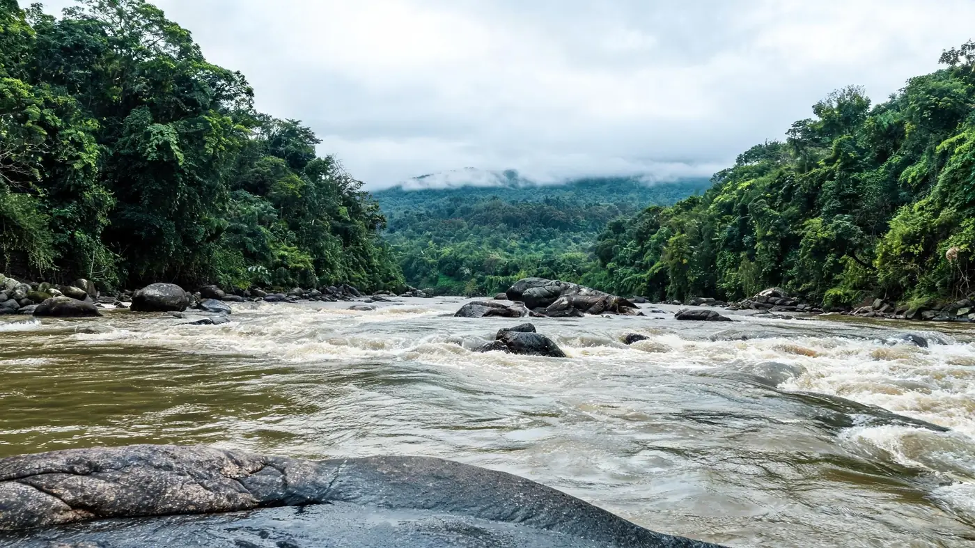 A fast brown-green river running over dark boulders between thick rainforest banks after the monsoon, similar to the Chalakudy river near Athirappilly