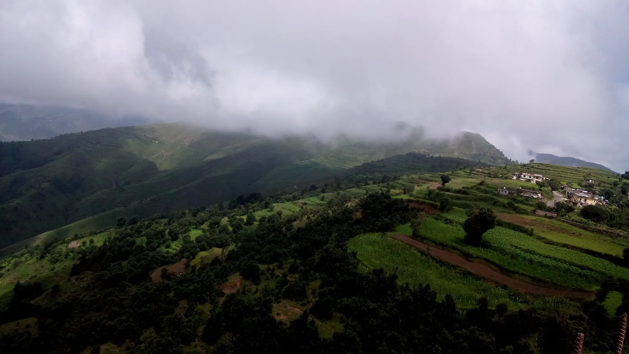 Green terraced slopes and cloud over the hills around Chakrata in Dehradun district, Uttarakhand