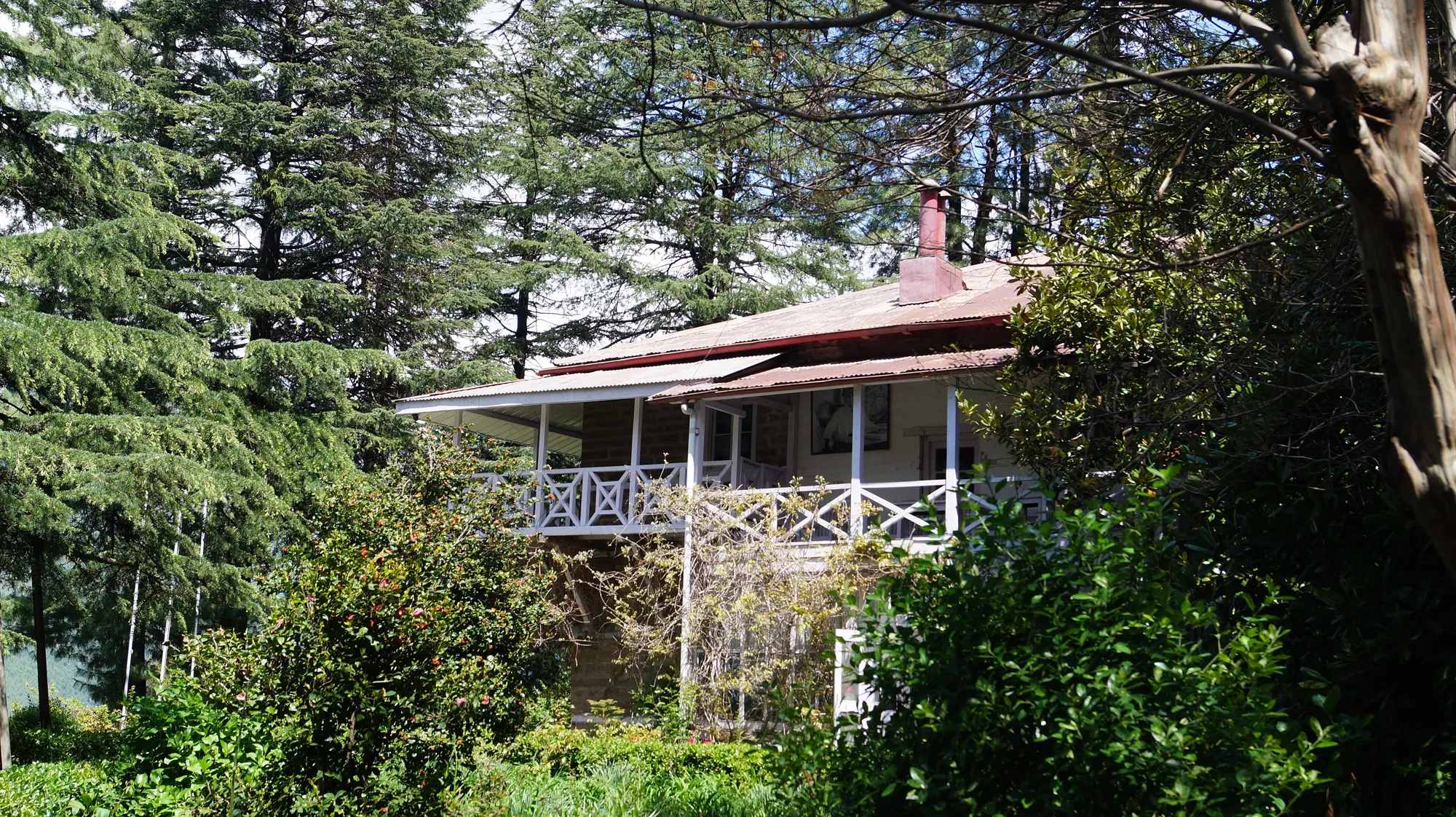 Nicholas Roerich's two-storey house with white wooden verandahs and red roof among deodar trees at the Roerich Estate in Naggar
