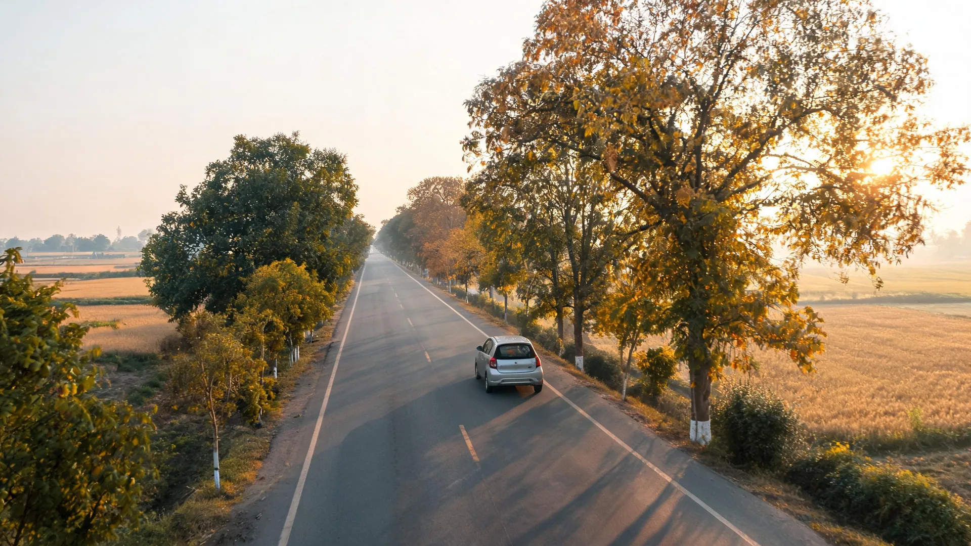 Self-drive hatchback on a tree-lined Punjab highway in autumn light, the road from Amritsar toward Attari