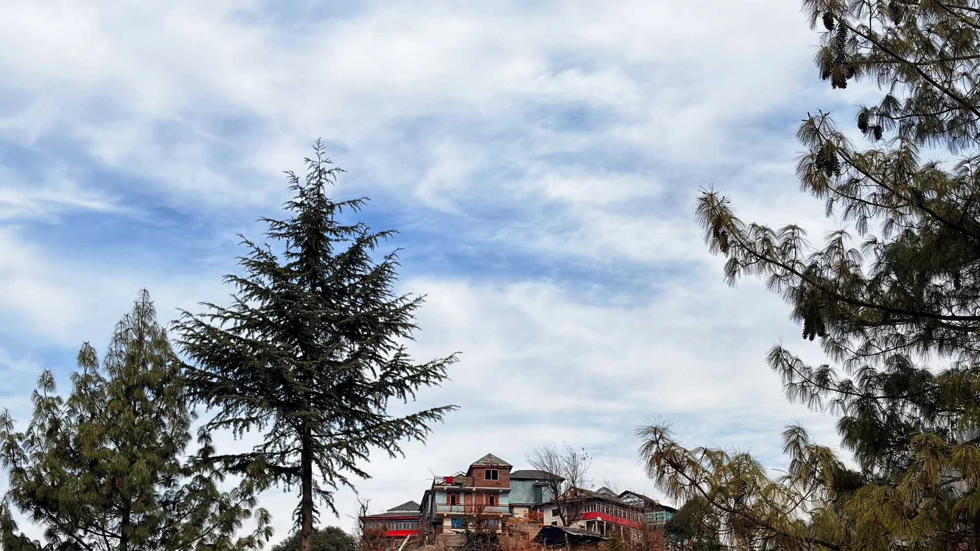 Traditional hillside houses and deodar pines in Jibhi, Banjar tehsil, on a clear day after a bike ride from Bhuntar into Tirthan Valley