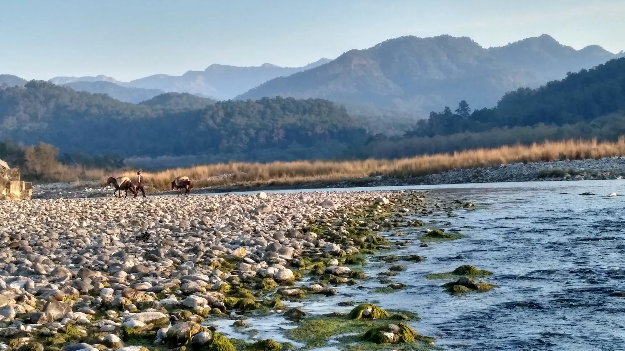 Wide stony Kosi riverbed near Jim Corbett National Park, Ramnagar, on a clear day after a self-drive from Dehradun