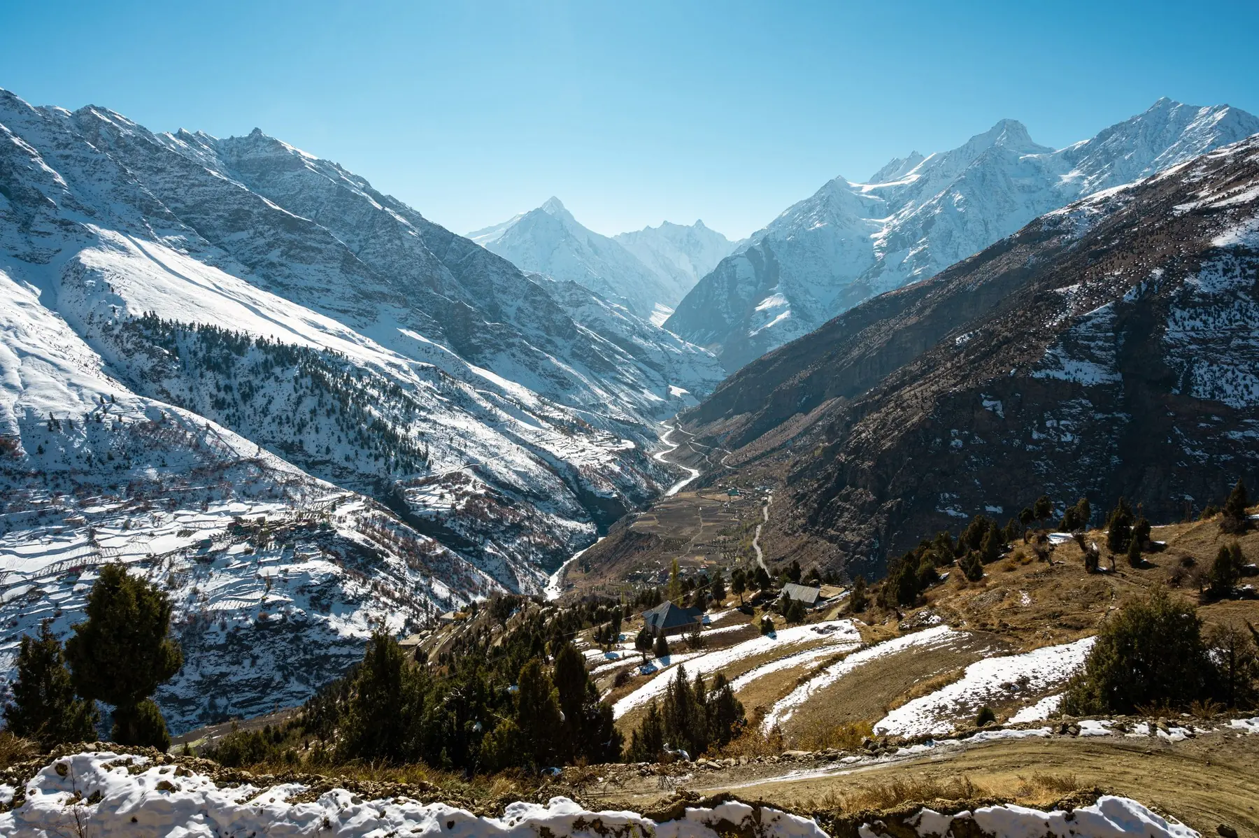 Snow-dusted mountain slopes and the Bhaga valley seen from Shashur Monastery above Keylong, with pine trees in the foreground