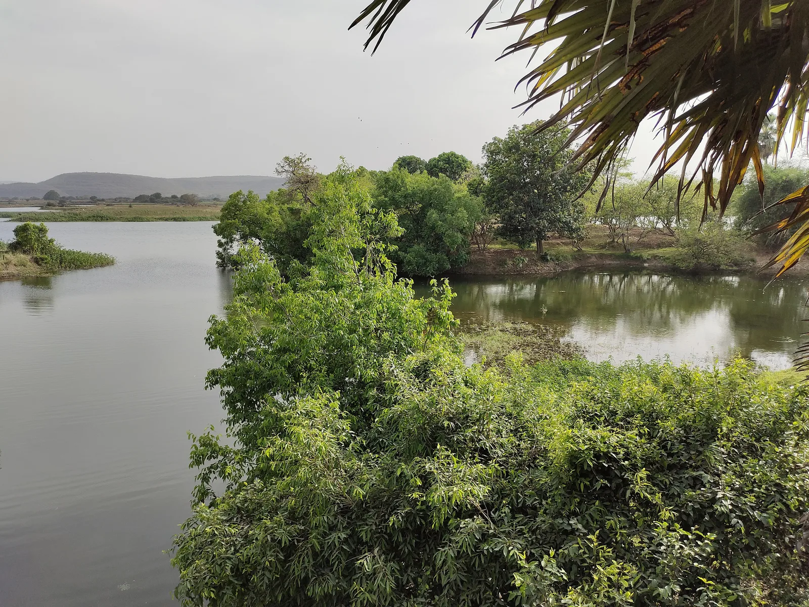 The calm lake behind the old Latif Shah dam near Chakia, edged with shrubs and palms, with low hills on the horizon