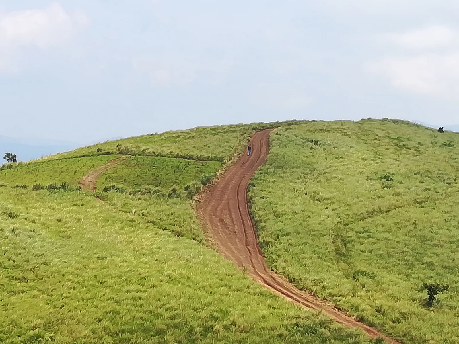 Rolling green grassland on a Vagamon hilltop with a red dirt track climbing over the ridge under a pale sky