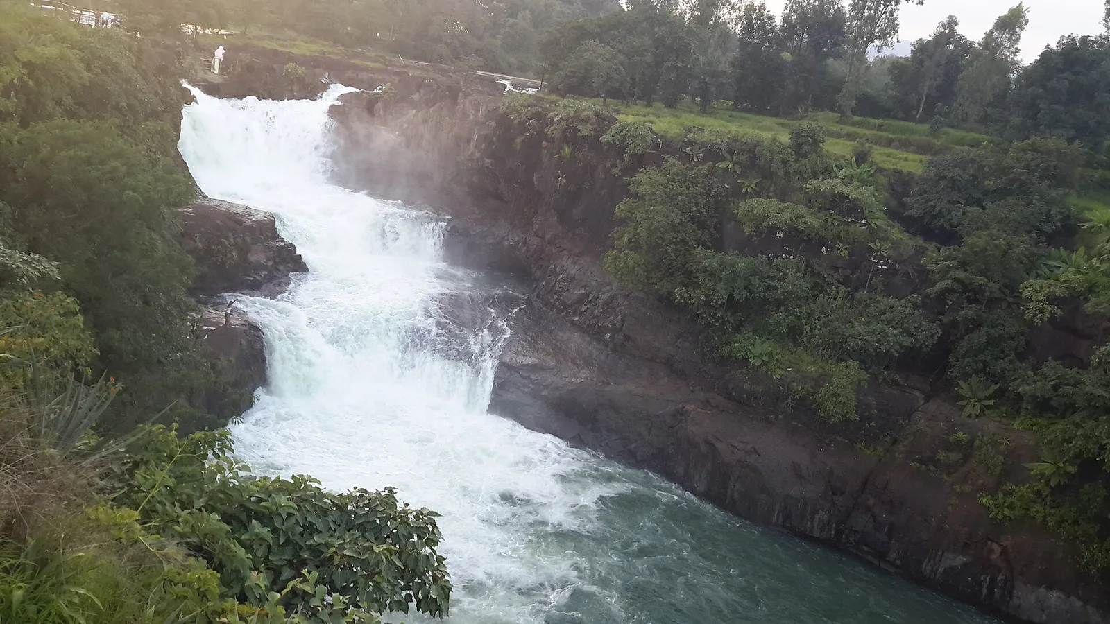 Randha Falls on the Pravara river near Bhandardara, white water pouring into a rocky gorge between green banks
