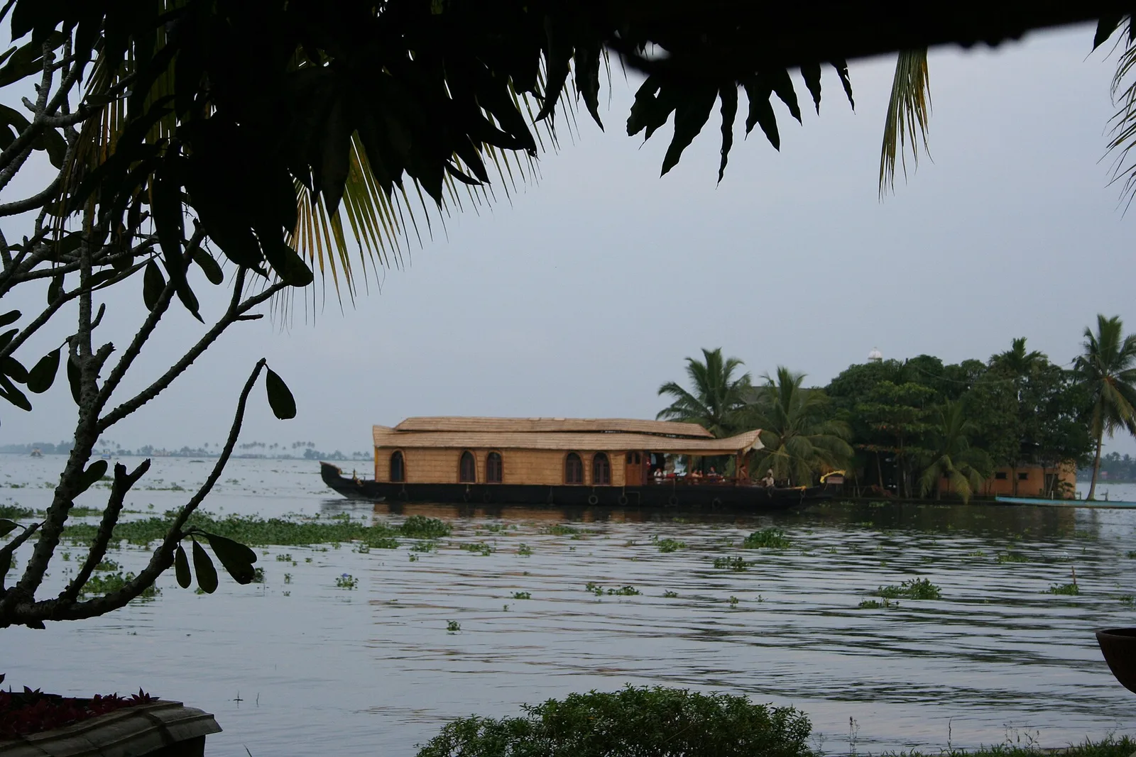 A houseboat moored on the Kerala backwaters among palms