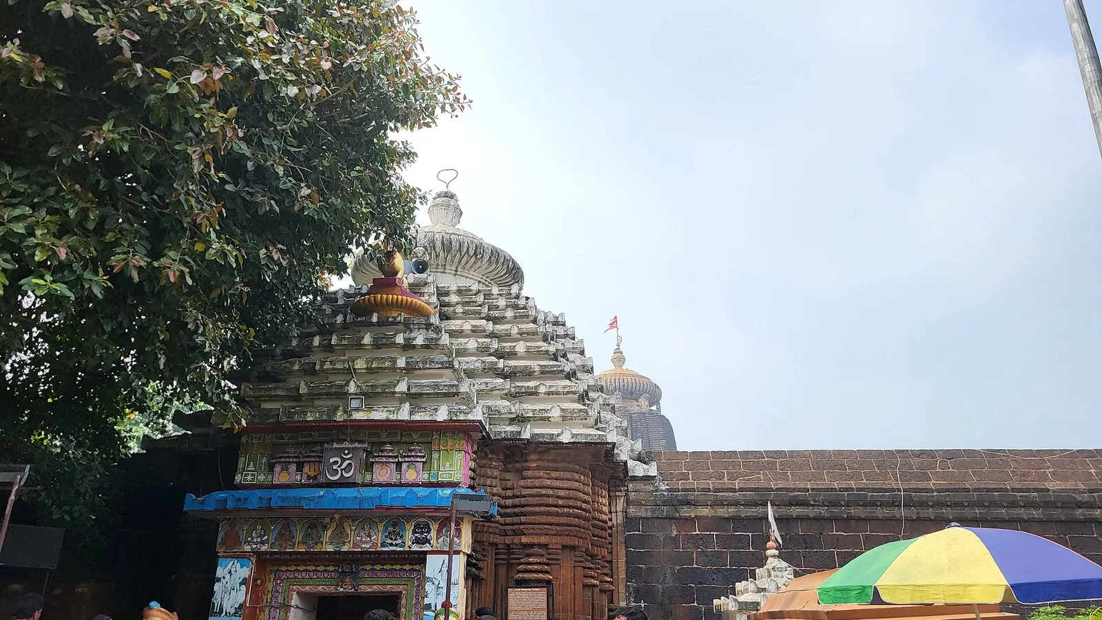 Lingaraj Temple tower in Bhubaneswar framed by trees