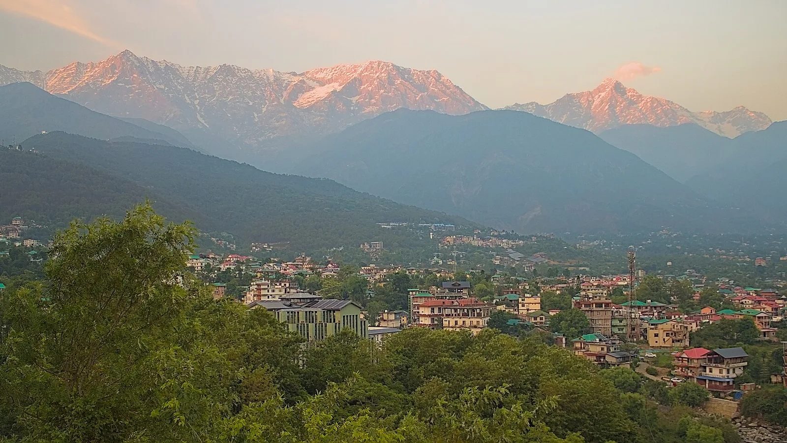 Snow-covered Dhauladhar peaks glowing pink at sunset above the town of Dharamshala and its forested foothills